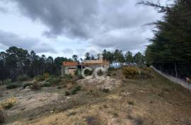 Agricultural land with 3000m2 and an amazem already built on the outskirts of the city