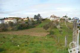 Agricultural land - Land with 4950m²