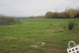 Agricultural land - Agricultural land with 9078m²