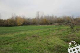 Agricultural land - Agricultural land with 9078m²