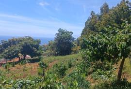 Land in Santo António, Funchal