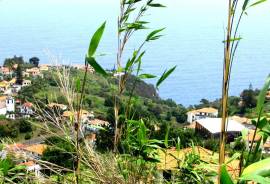 LAND | SEA VIEW | MOUNTAIN VIEW | SAINT GEORGE | MADEIRA ISLAND LAND | SEA VIEW | MOUNTAIN VIEW | SAINT GEORGE | MADEIRA ISLAND