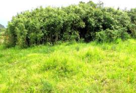 LAND | SEA VIEW | MOUNTAIN VIEW | SAINT GEORGE | MADEIRA ISLAND LAND | SEA VIEW | MOUNTAIN VIEW | SAINT GEORGE | MADEIRA ISLAND