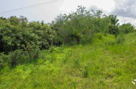 LAND | SEA VIEW | MOUNTAIN VIEW | SAINT GEORGE | MADEIRA ISLAND LAND | SEA VIEW | MOUNTAIN VIEW | SAINT GEORGE | MADEIRA ISLAND