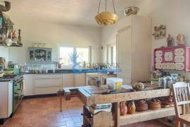 Farm with 3 bedroom villa and Guest House- Malhão / Alcantarilha