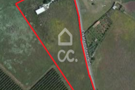 Land Beja