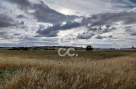 Land Beja