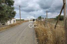 Land Beja