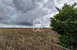 Land Beja