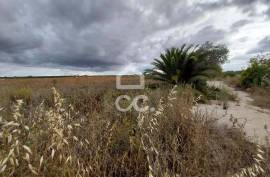Land Beja