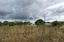 Land Beja