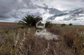 Land Beja