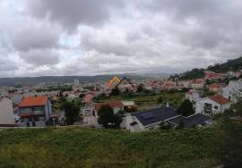 T2 to the Center of Valongo