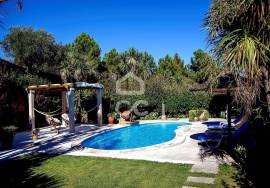 Luxury Farm with 25000m2