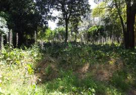 Tower Pension for restoration - Amares, Near the Caldelas stop