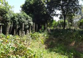 Tower Pension for restoration - Amares, Near the Caldelas stop