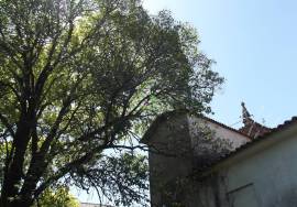 Tower Pension for restoration - Amares, Near the Caldelas stop