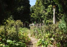 Tower Pension for restoration - Amares, Near the Caldelas stop