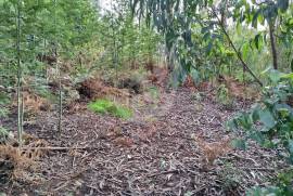 Land Construction- Turiz, Vila Verde