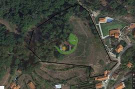 Land Vieira do Minho