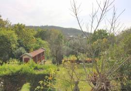 Farmhouse Vila Verde Travassos Farmhouse Vila Verde Travassos