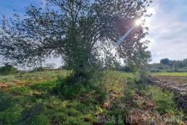 Buildable Land with Ruin near São Bartolomeu de Messines Buildable Land with Ruin near São Bartolomeu de Messines