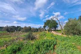 Buildable Land with Ruin near São Bartolomeu de Messines Buildable Land with Ruin near São Bartolomeu de Messines