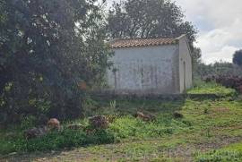 Buildable Land with Ruin near São Bartolomeu de Messines Buildable Land with Ruin near São Bartolomeu de Messines