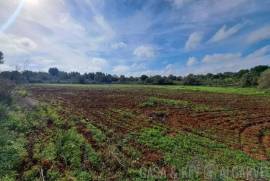 Buildable Land with Ruin near São Bartolomeu de Messines Buildable Land with Ruin near São Bartolomeu de Messines