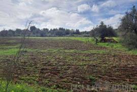 Buildable Land with Ruin near São Bartolomeu de Messines Buildable Land with Ruin near São Bartolomeu de Messines