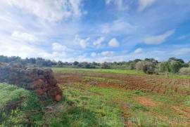 Buildable Land with Ruin near São Bartolomeu de Messines Buildable Land with Ruin near São Bartolomeu de Messines