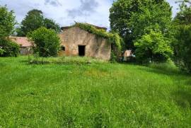 For Sale Exceptional Family Home in Luchapt - Vienne