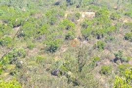 Rustic land for sale