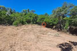 Rustic land for sale