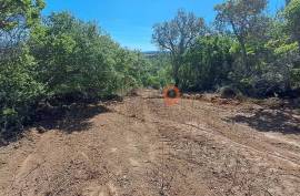 Rustic land for sale