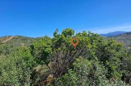 Rustic land for sale