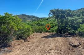 Rustic land for sale