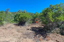 Rustic land for sale