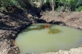 Rustic land for sale