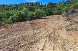 Rustic land for sale