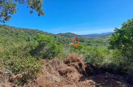 Rustic land for sale