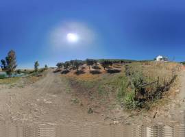 Estate with 122 hectares with Dam | ELVAS | ALENTEJO