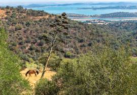 Estate with 122 hectares with Dam | ELVAS | ALENTEJO