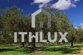 Estate with 122 hectares with Dam | ELVAS | ALENTEJO