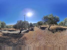 Estate with 122 hectares with Dam | ELVAS | ALENTEJO