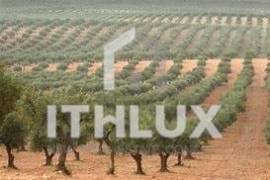 Estate with 122 hectares with Dam | ELVAS | ALENTEJO
