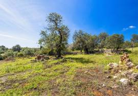 Semi-detached Ruin sitting in 4.360m² of land with a small sea view, just outside Moncarapacho Semi-detached Ruin sitting in 4.360m² of land with a small sea view, just outside Moncarapacho