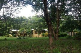 Estate For Sale on Ometepe Island