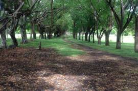 Estate For Sale on Ometepe Island