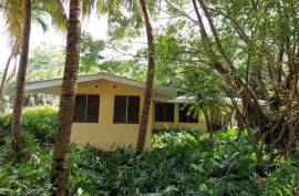 Estate For Sale on Ometepe Island